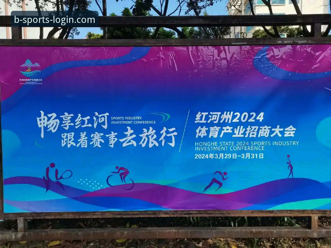 b体育平台功能详解与2024新版使用指南
